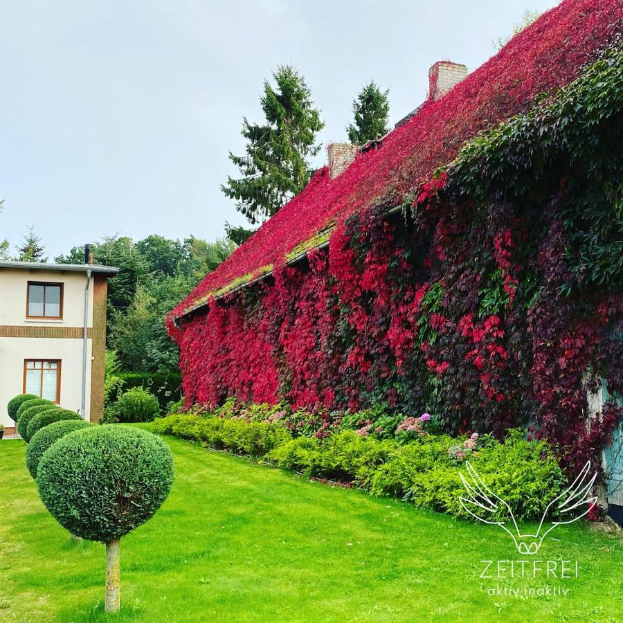 Zeitfrei Urlaubsappartememts & Veranstaltungsort Steffenshagen Exterior photo